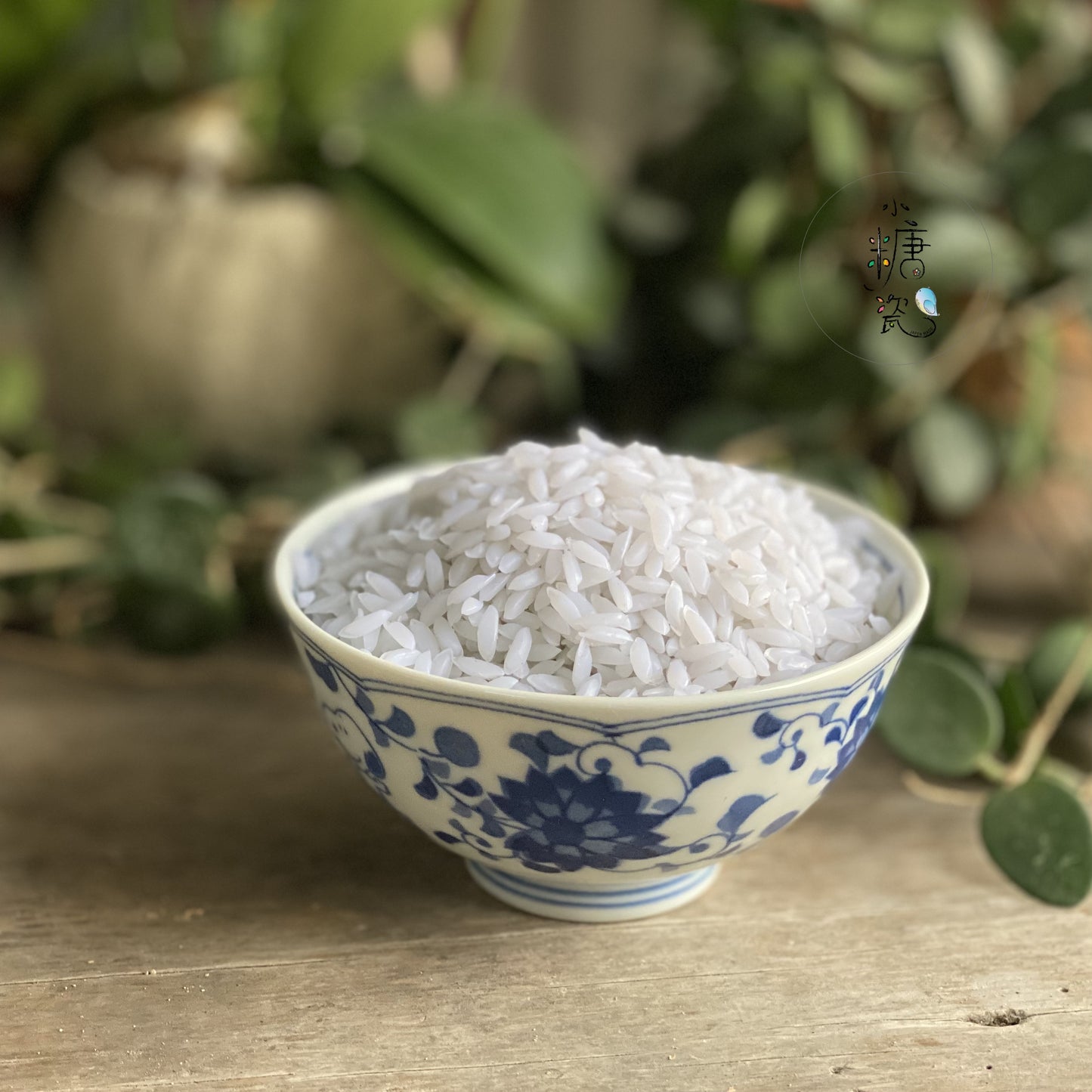 小糖瓷|日本製 🈴️ 史努比唐草系列飯碗