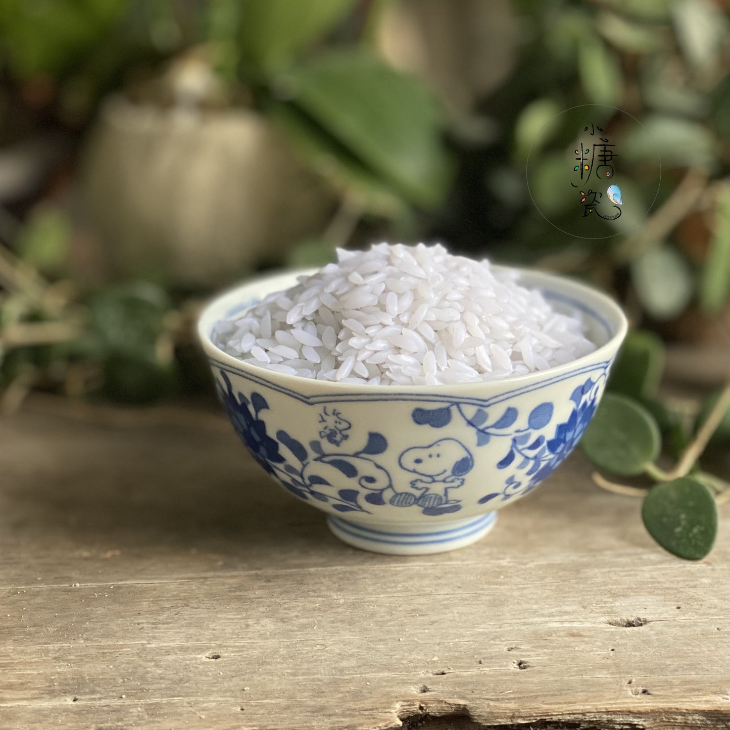 小糖瓷|日本製 🈴️ 史努比唐草系列飯碗