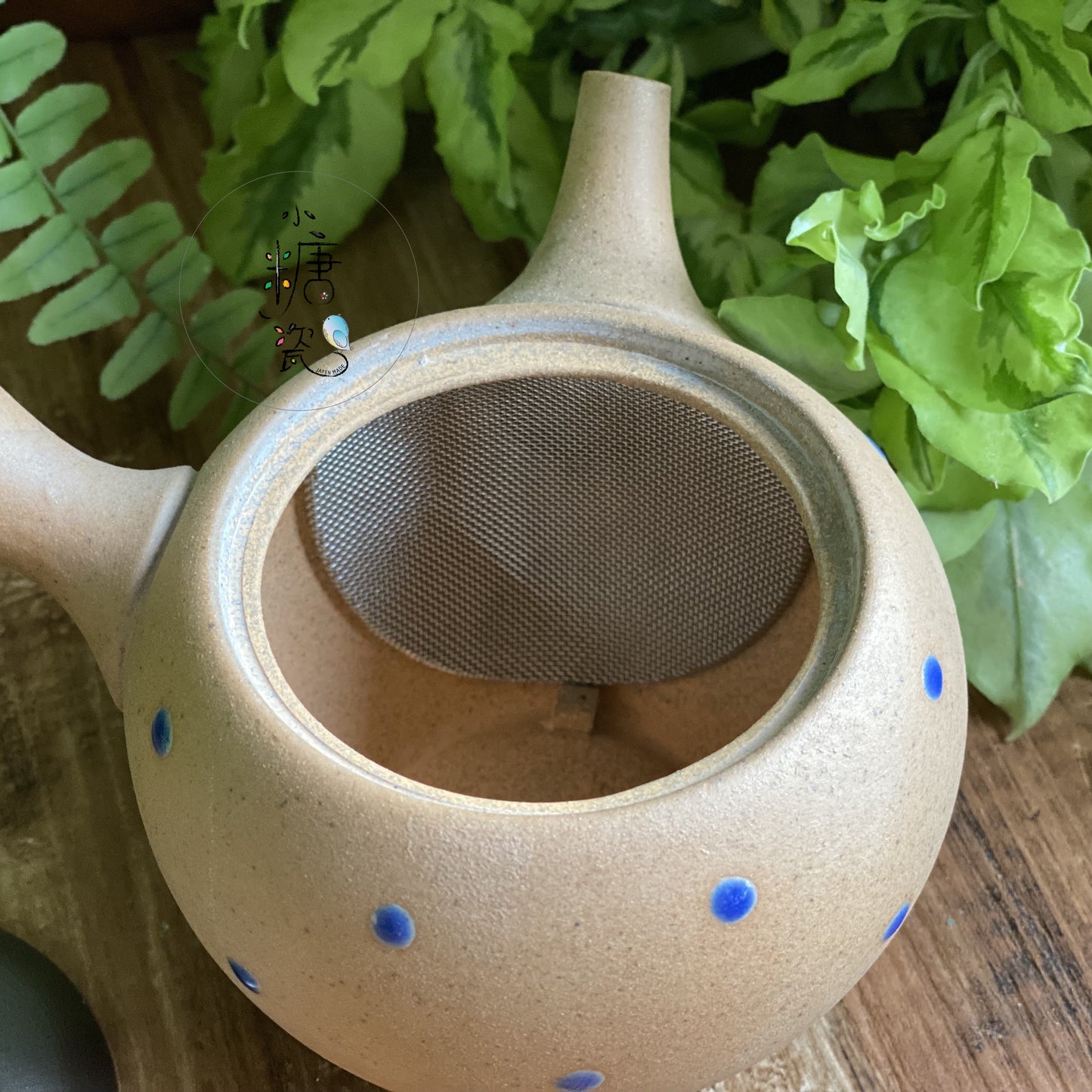 小糖瓷|日本製 🈴️ 常滑燒 復刻點點輕量急須壺
