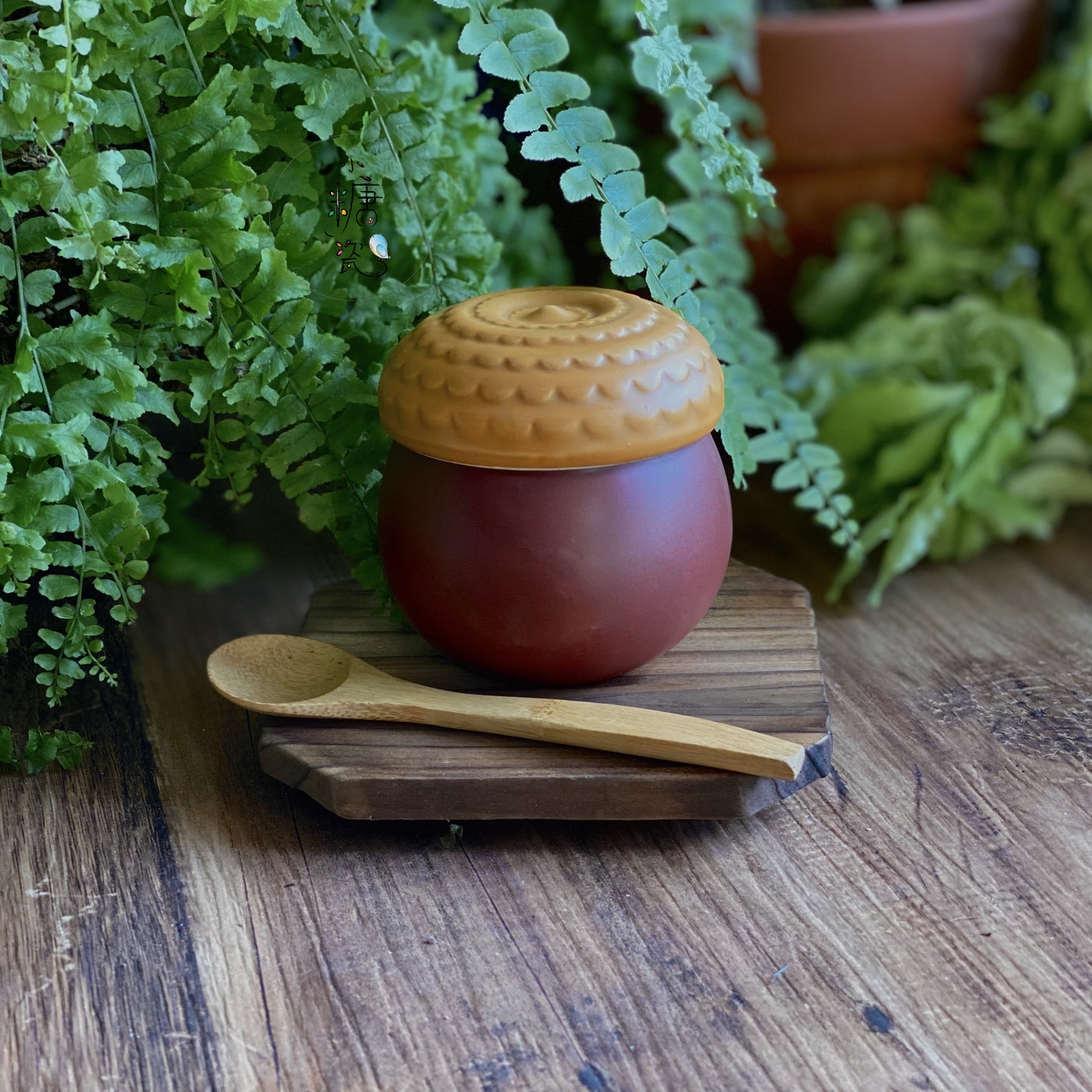 小糖瓷|日本製 どんぐり橡樹果蓋物/茶碗蒸蓋物(一組)