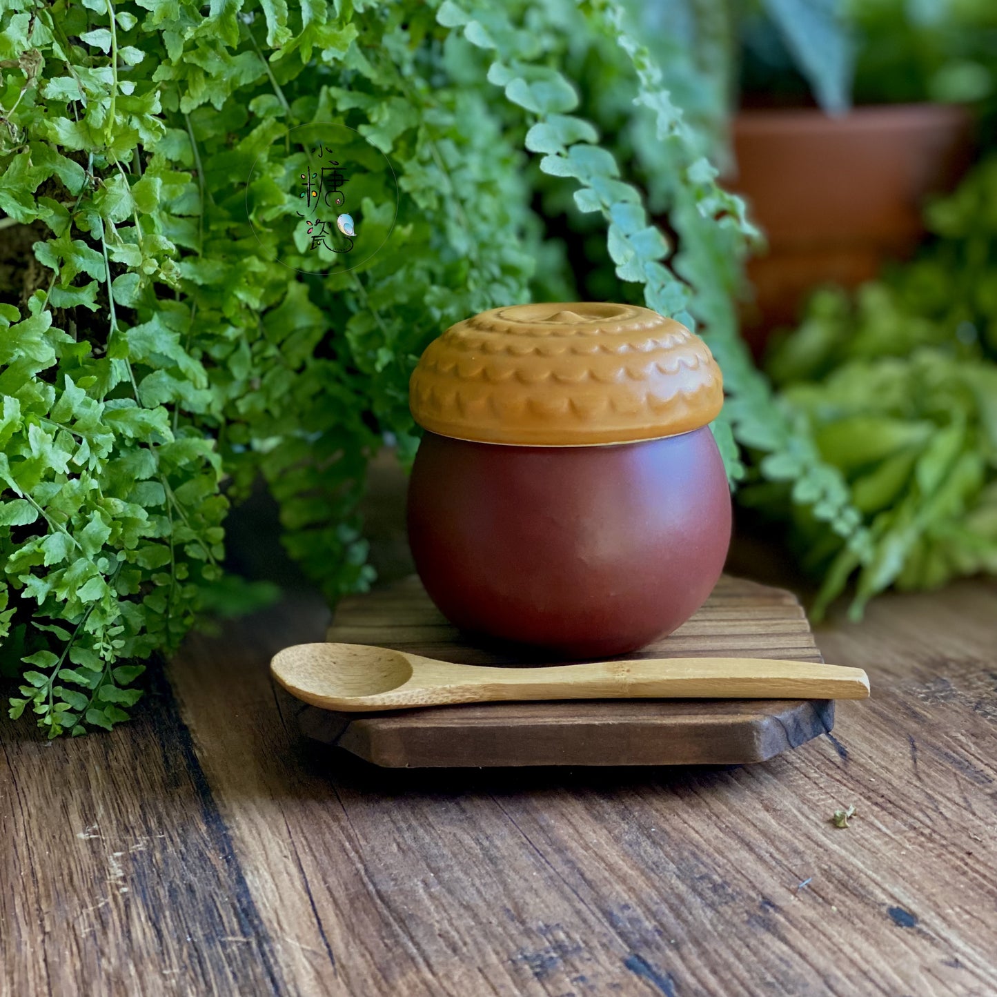 小糖瓷|日本製 どんぐり橡樹果蓋物/茶碗蒸蓋物(一組)