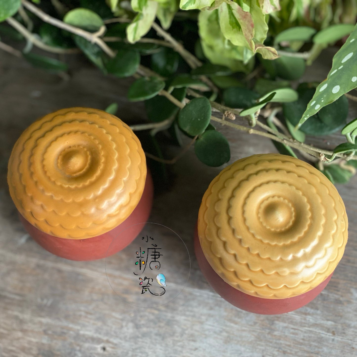 小糖瓷|日本製 どんぐり橡樹果蓋物/茶碗蒸蓋物(一組)