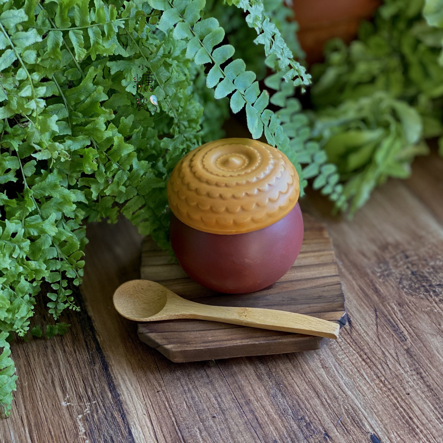 小糖瓷｜日本製 どんぐり橡樹果蓋物/茶碗蒸蓋物（一組）